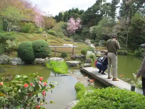 退蔵院の庭園