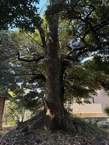 風早神社(千葉県)