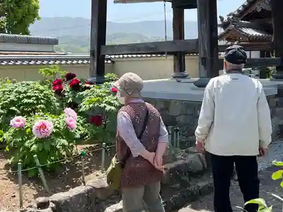 真言宗　善通寺派　薬王寺(香川県)