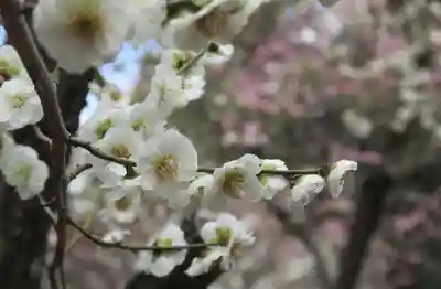 意賀美神社(大阪府)