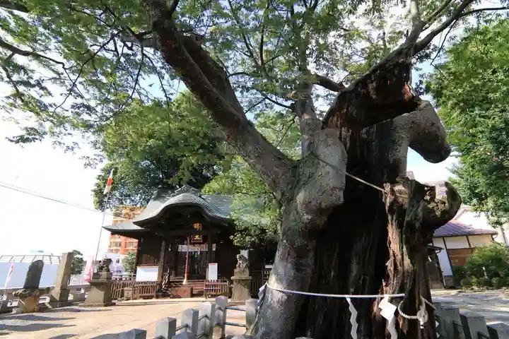 阿邪訶根神社の本殿・本堂
