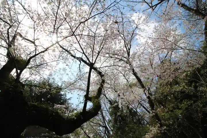 弘法山 大師堂(神奈川県)