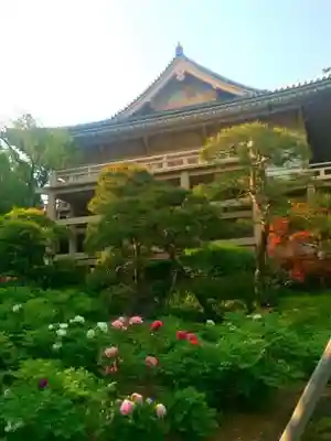 東長谷寺　薬王院のその他建物