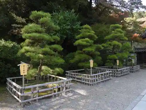 長谷寺本坊　大講堂(奈良県)