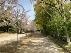 小垣江神明神社の自然