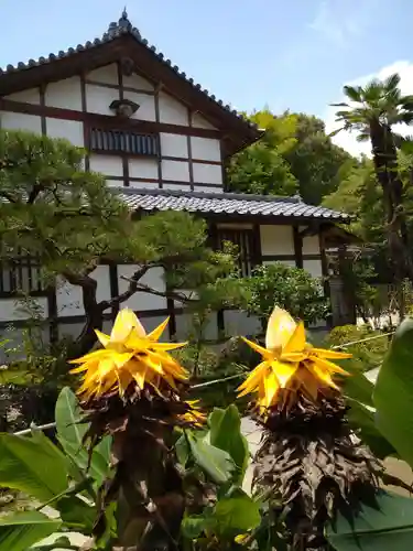 常寂光寺(京都府)