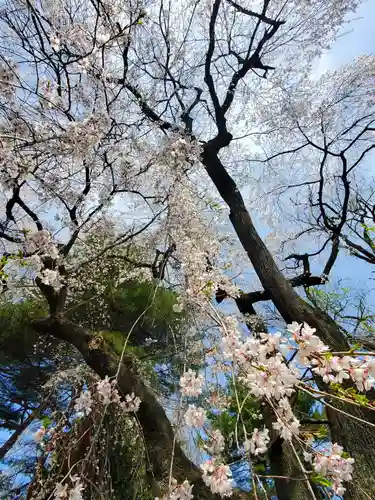 関川寺(福島県)