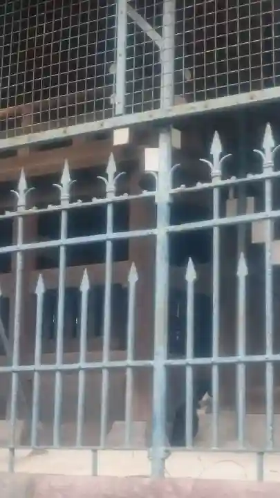 豊田神社のその他建物