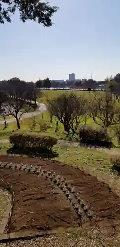 徳島稲荷神社の景色