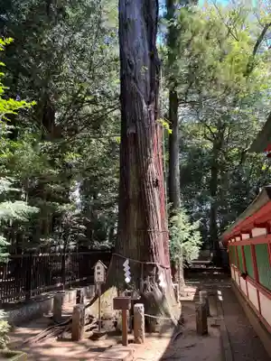 一言主神社(茨城県)