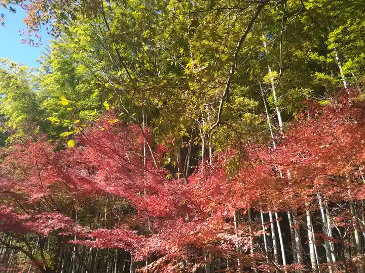 建長寺 半僧坊(神奈川県)