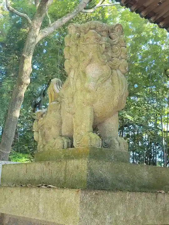 櫛玉比賣命神社(愛媛県)