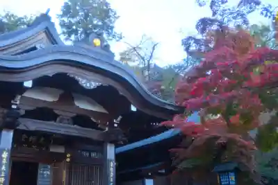 高幡不動尊　金剛寺(東京都)