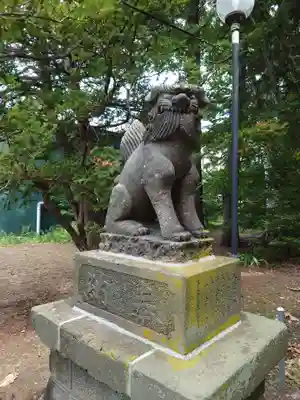 信濃神社の狛犬