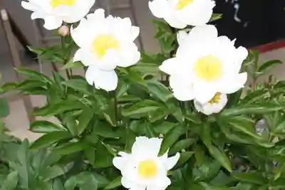 當麻寺中之坊(奈良県)