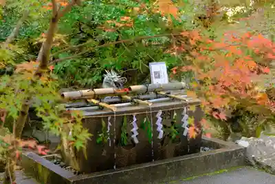 鍬山神社の手水舎