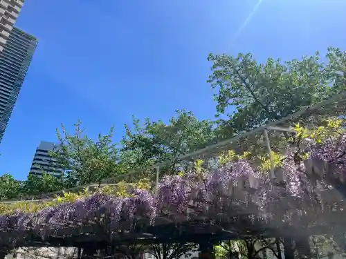 本成寺(大阪府)