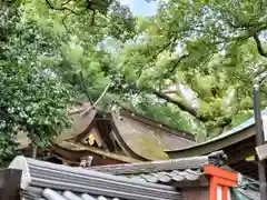 杭全神社の本殿