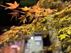 山家神社の自然