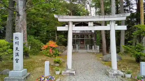 旭川天満宮の鳥居