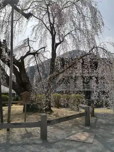 久遠寺の庭園