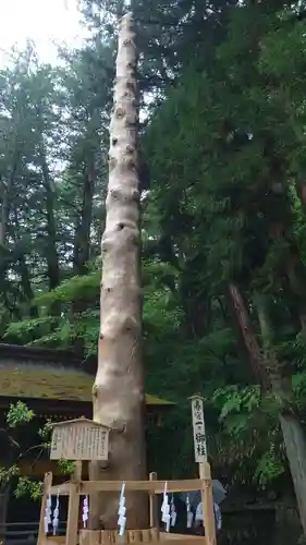 諏訪大社下社春宮の自然