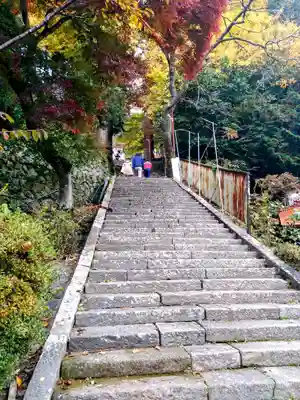 金櫻神社(山梨県)