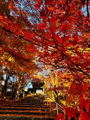 安国寺(京都府)