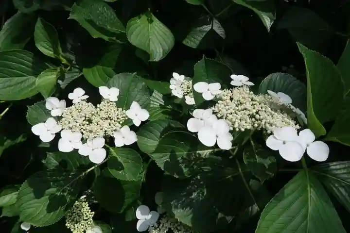 性海寺(愛知県)