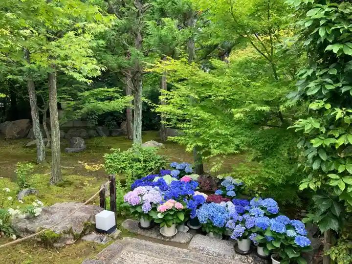 勝林寺(京都府)