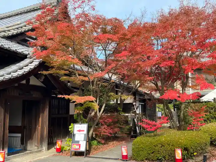 天得院(京都府)