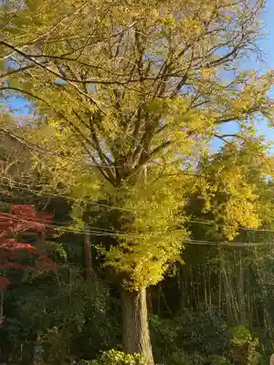 蛇苦止明神(蛇苦止堂)の自然