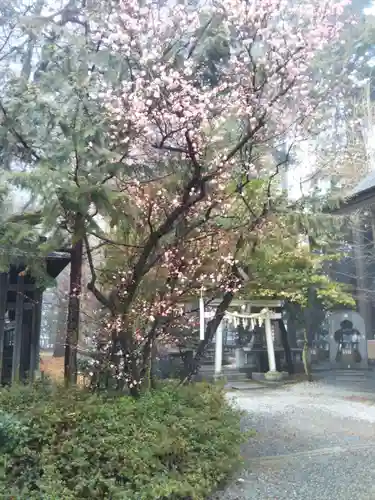 甲斐國一宮 浅間神社の建物その他