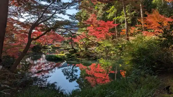 くろ谷 金戒光明寺(京都府)