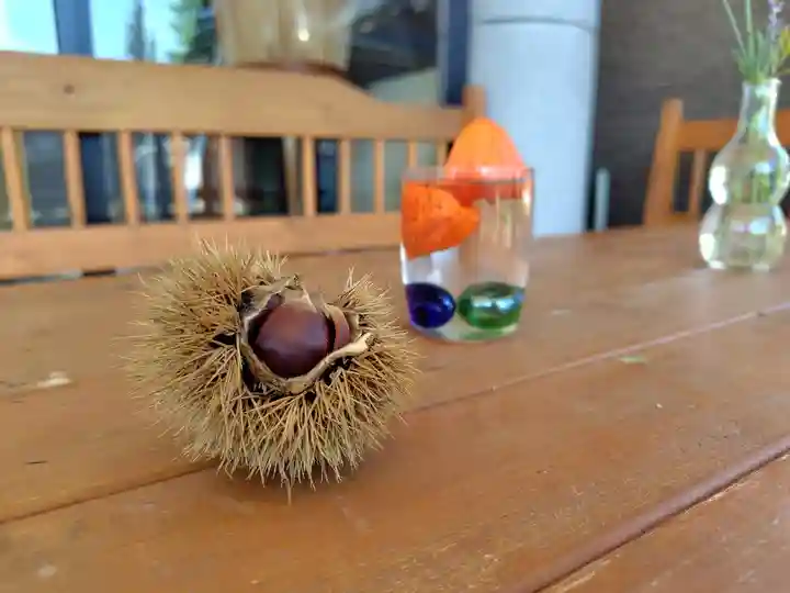 美瑛神社の自然