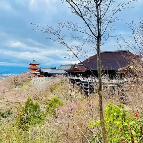 清水寺(京都府)