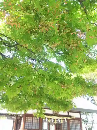 御裳神社の自然