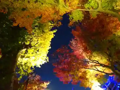 長谷寺(神奈川県)