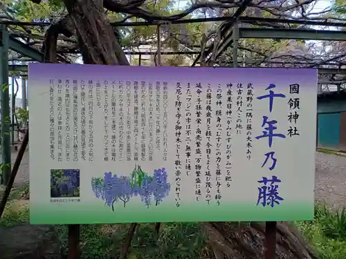 國領神社のその他建物