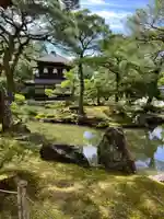 慈照寺(慈照禅寺・銀閣寺)(京都府)