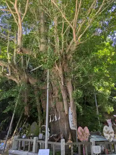 海南神社(神奈川県)