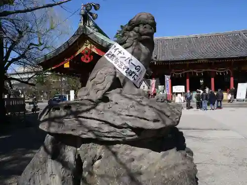 浅草神社の狛犬