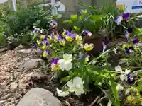 三輪神社の自然