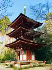 浄瑠璃寺(京都府)