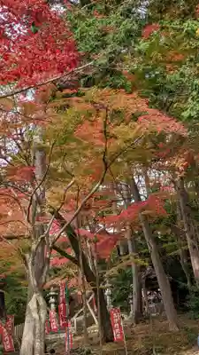 毘沙門堂門跡(京都府)