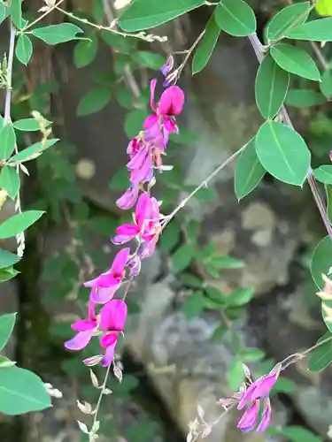 国宝 大法寺の自然