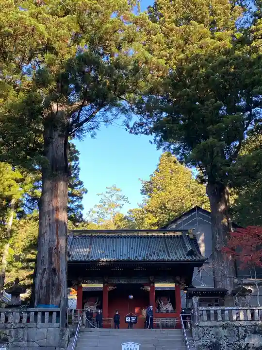 日光東照宮(栃木県)
