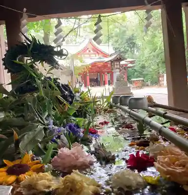 世田谷八幡宮(東京都)