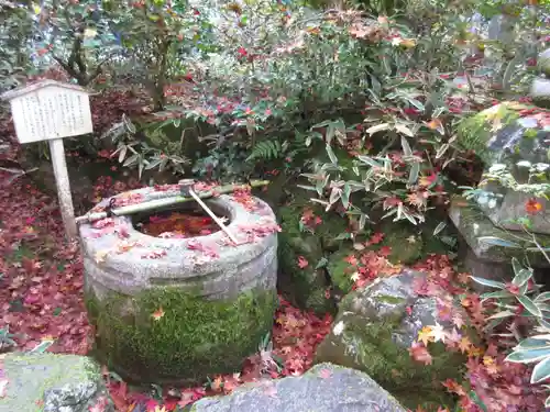 高桐院の手水舎