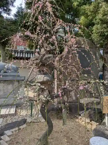 大阪天満宮(大阪府)